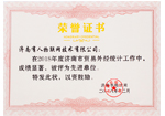 外貿外經(jīng)共計先進單位榮譽證書